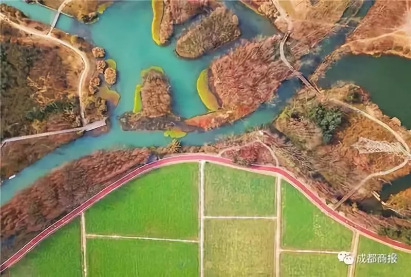 bte·365(中国)体育在线官网