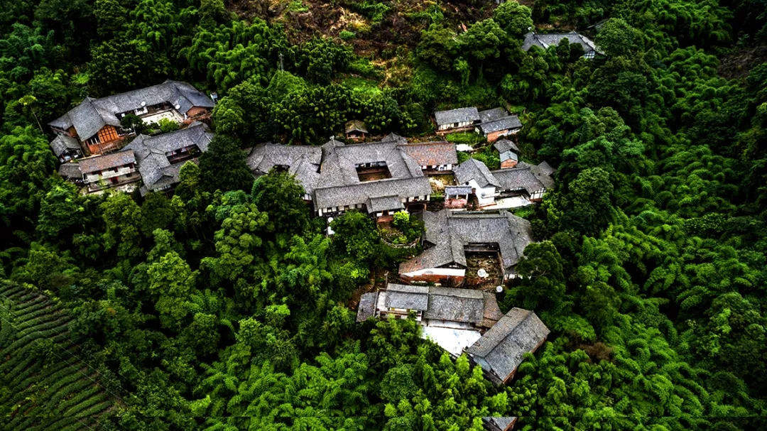 bte·365(中国)体育在线官网