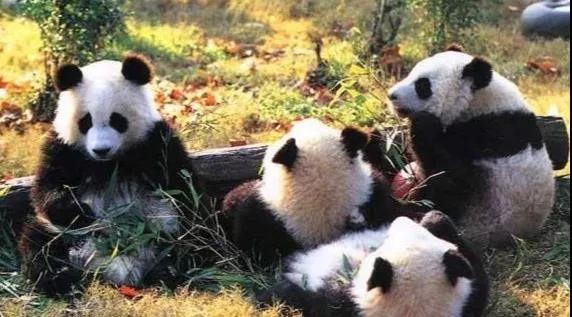 bte·365(中国)体育在线官网