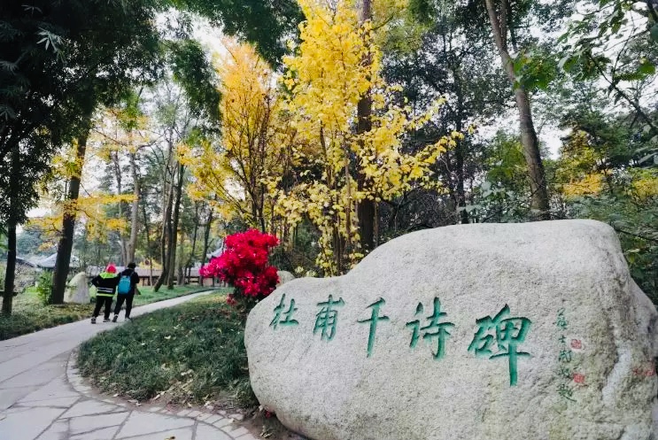 bte·365(中国)体育在线官网