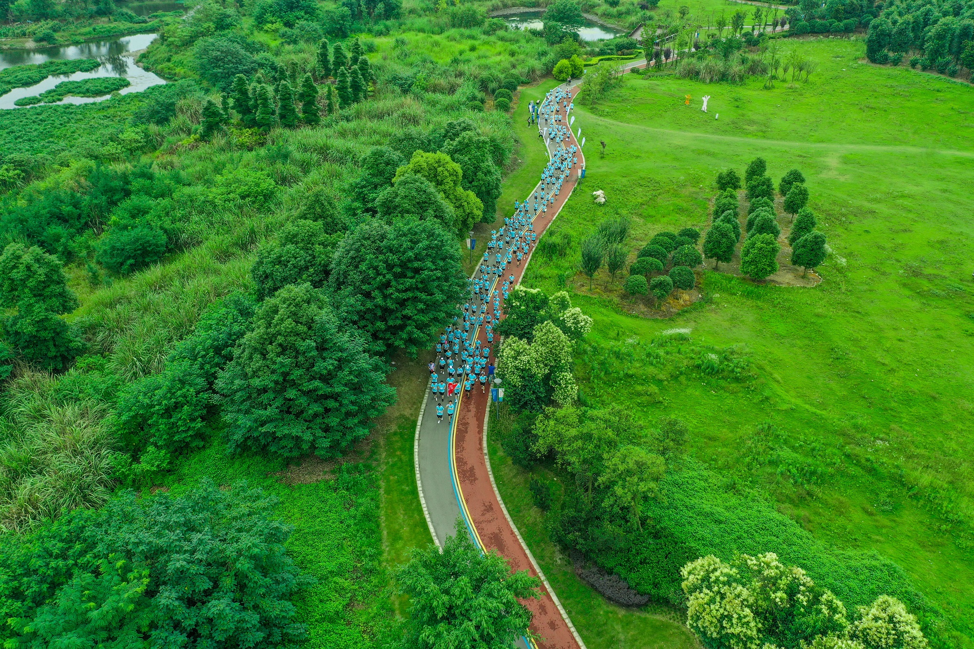bte·365(中国)体育在线官网