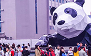 集团动态 - bte365
