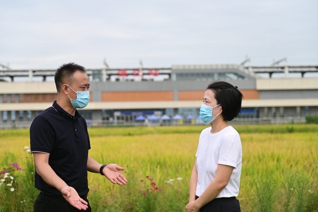 bte·365(中国)体育在线官网